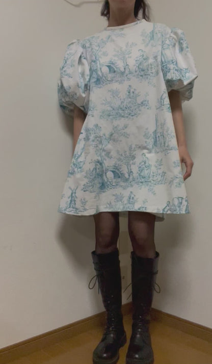 【REMAKE 】Dress Toile de Jouy